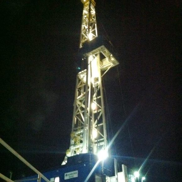 Meet your Posher, Steve - Picture 1 of 1